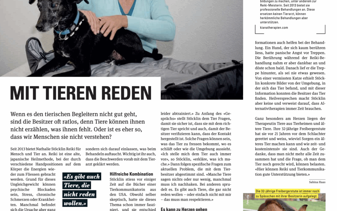 Beitrag im Regio Aktuell